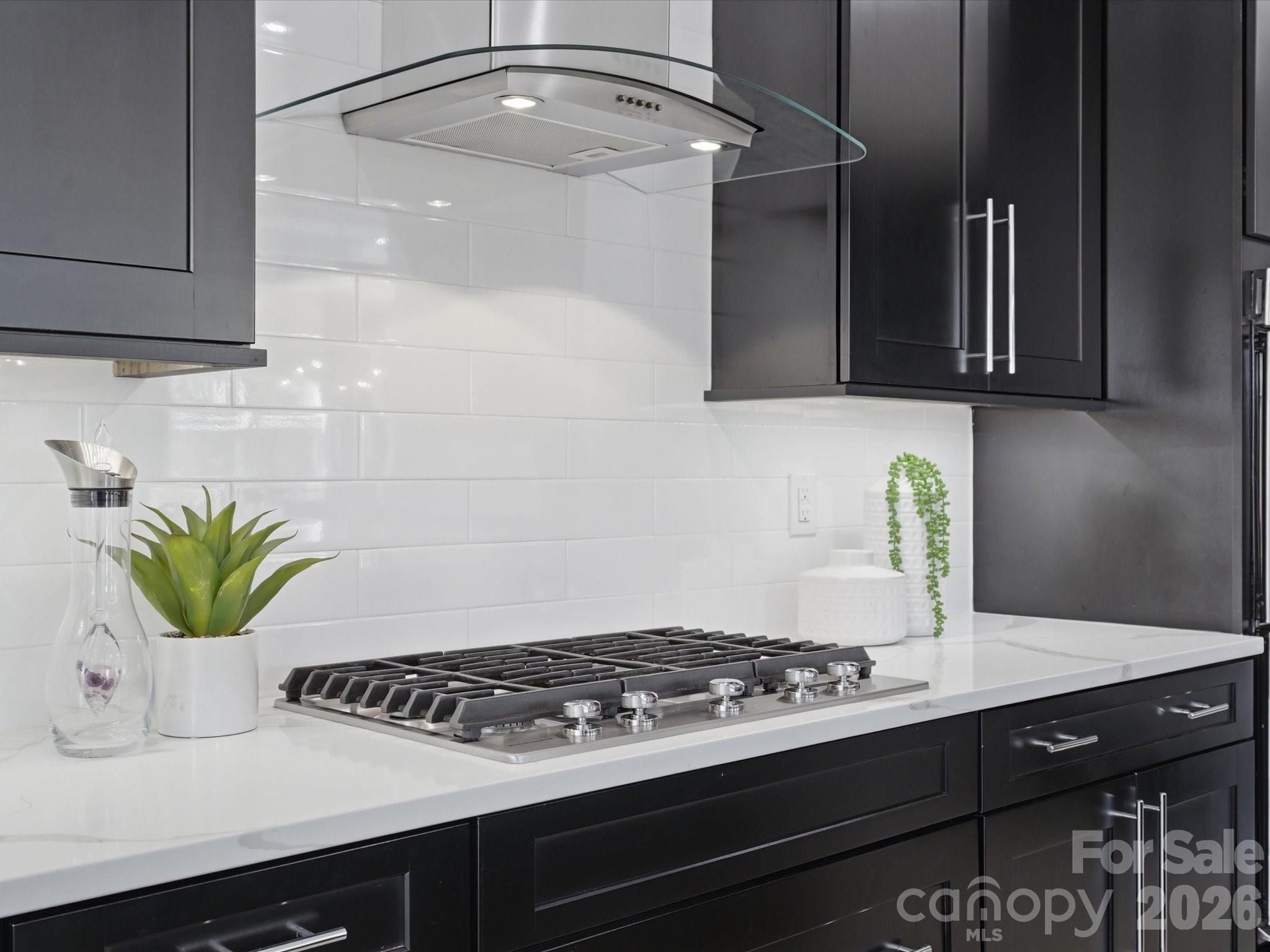 7237 Twelve Mile Creek Road Lancaster, SC 29720 - Photo 15 of 47 a kitchen with a stove and a potted plant