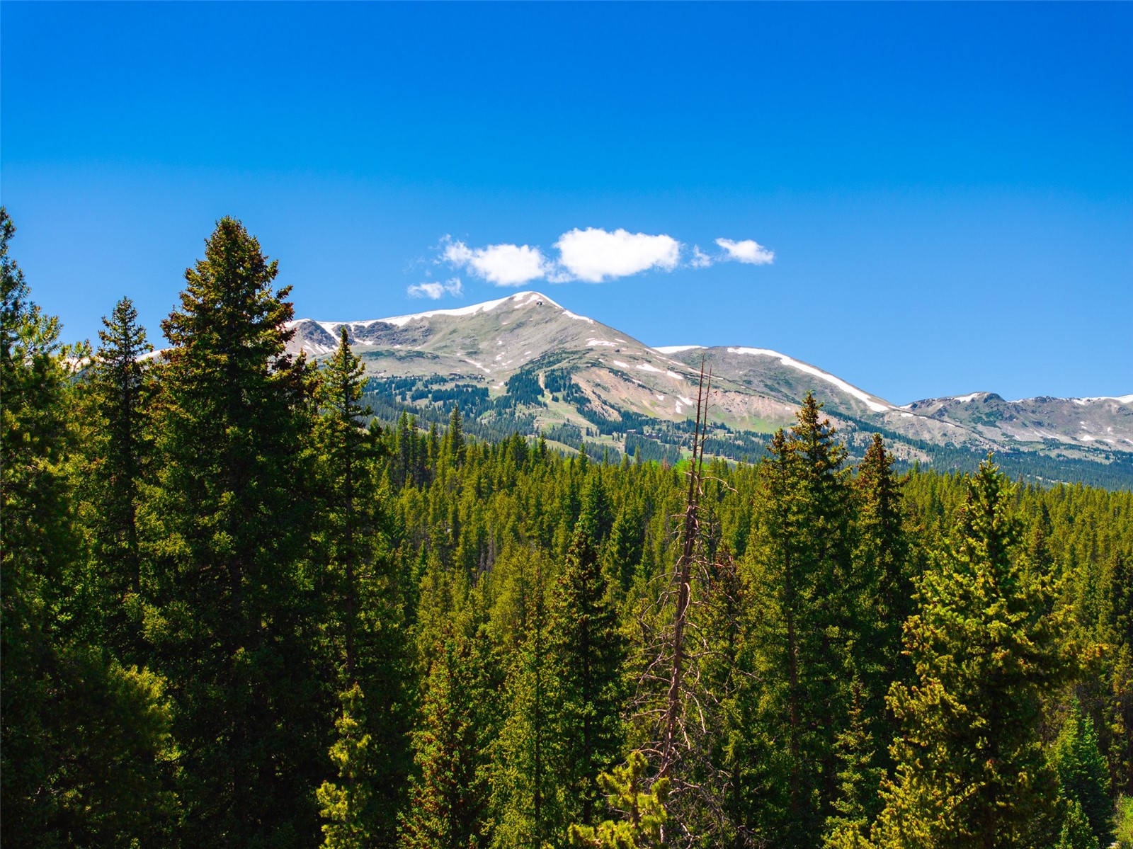 277 Wagon Road Breckenridge, CO 80424 - Photo 18 of 50