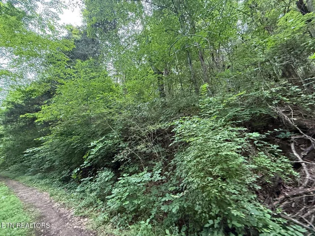 $34,900 | Fortunato Drive, Baneberry, TN 37890