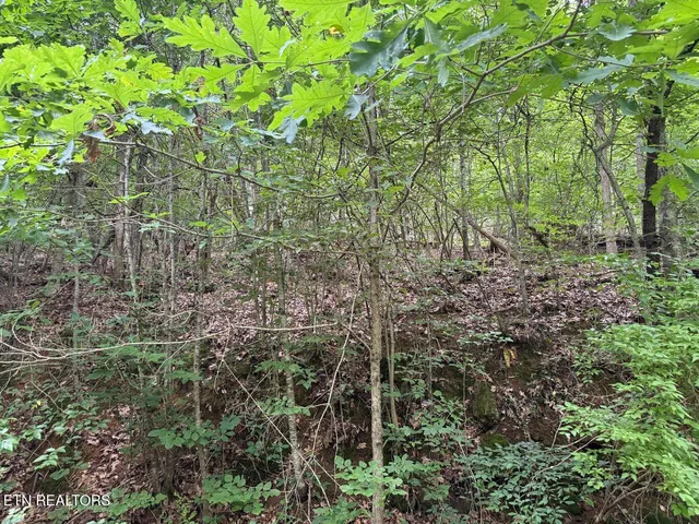 $34,900 | Fortunato Drive, Baneberry, TN 37890