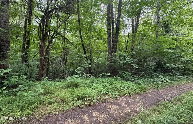 $34,900 | Fortunato Drive, Baneberry, TN 37890