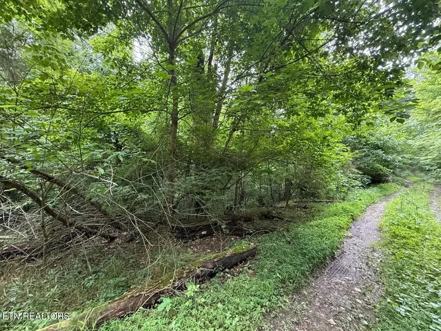 $34,900 | Fortunato Drive, Baneberry, TN 37890