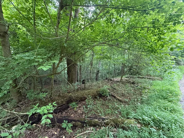 $34,900 | Fortunato Drive, Baneberry, TN 37890