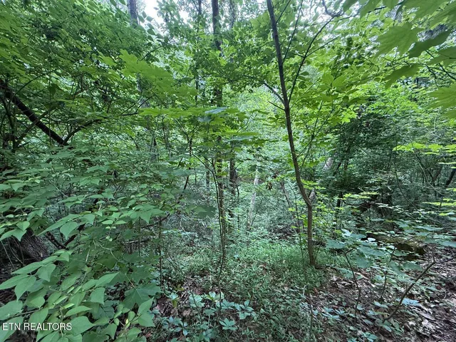 $34,900 | Fortunato Drive, Baneberry, TN 37890