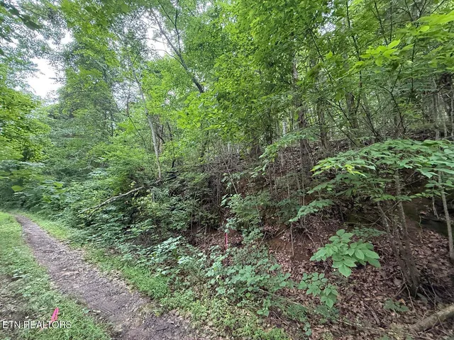 $34,900 | Fortunato Drive, Baneberry, TN 37890