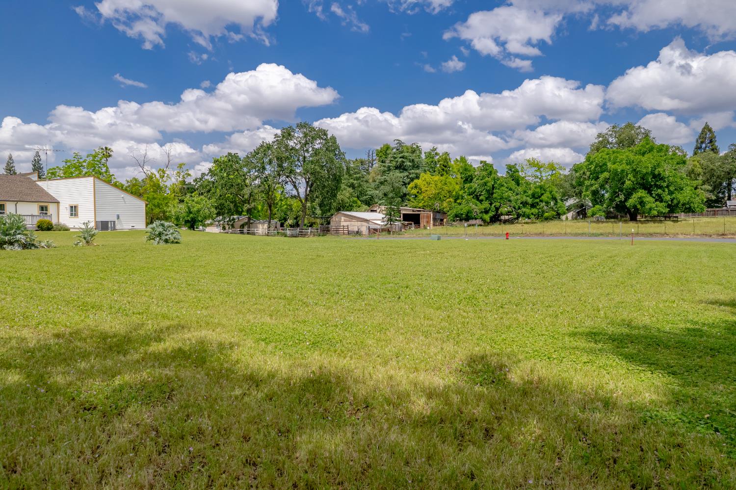 6310 Chestnut Avenue Orangevale, CA 95662 - Photo 19 of 53 a view of a lake in middle of the green field
