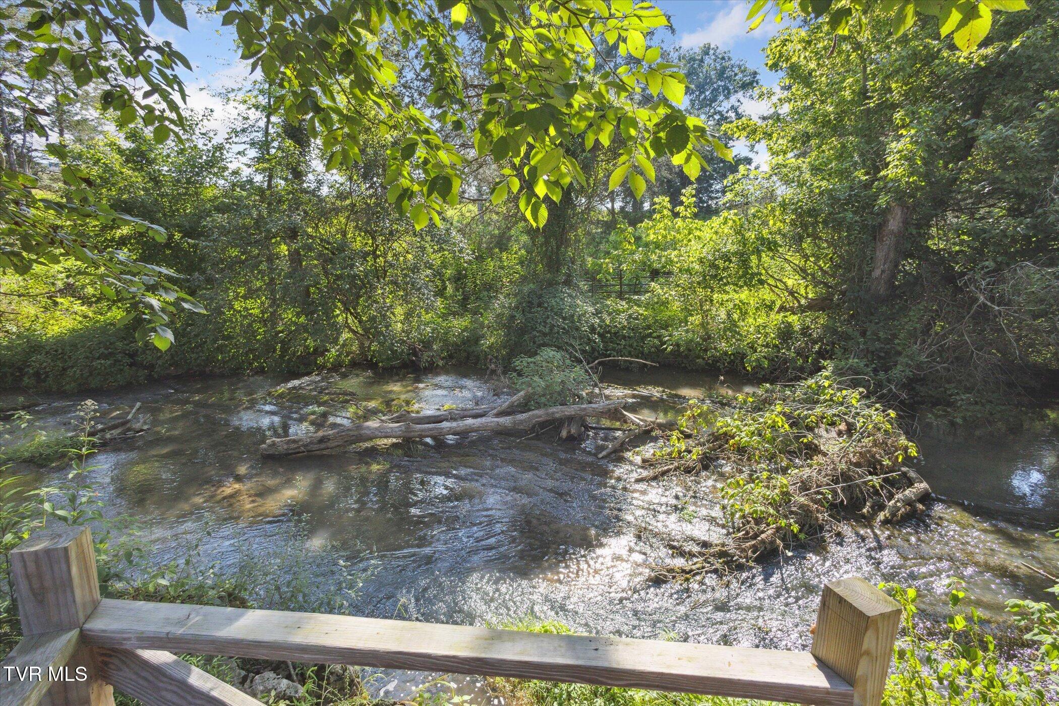 2715 Old Stage Road Afton, TN 37616 - Photo 33 of 43 41-2715-Old-Stage-Rd-Afton-TN-37616-Wind