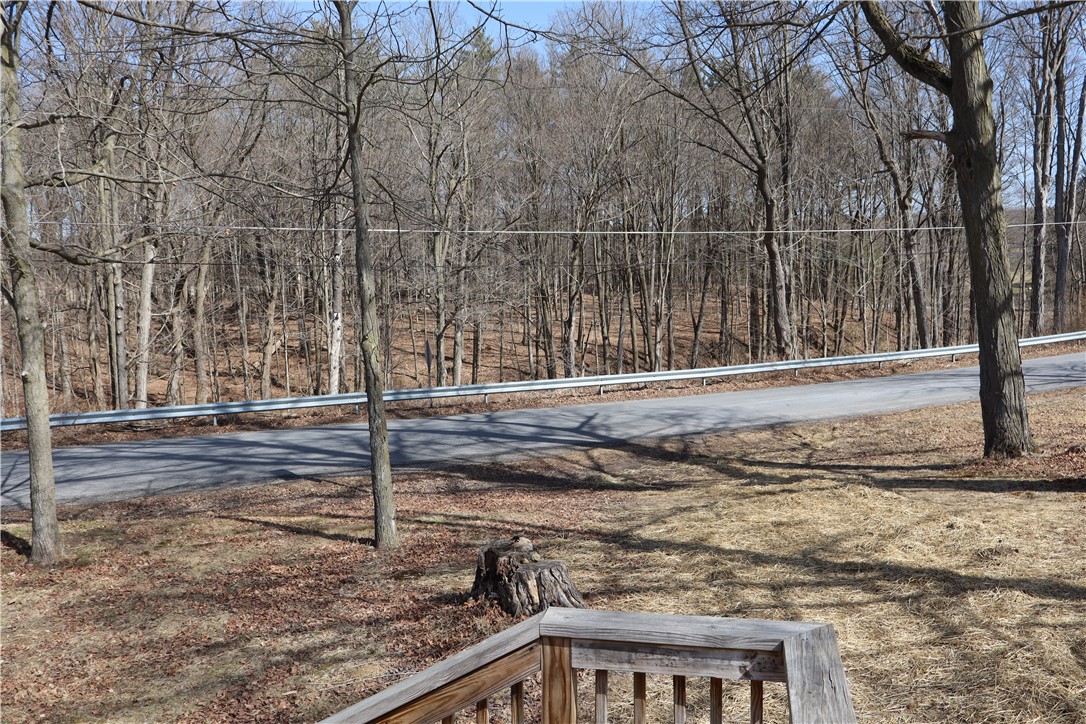 257 Newman Road Lansing, NY 13073 - Photo 6 of 23