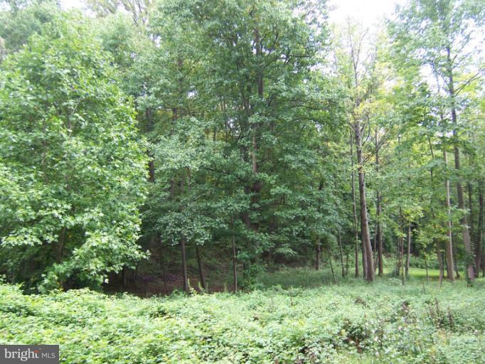 1440 Gilbert Road Arnold, MD 21012 - Photo 18 of 19 View