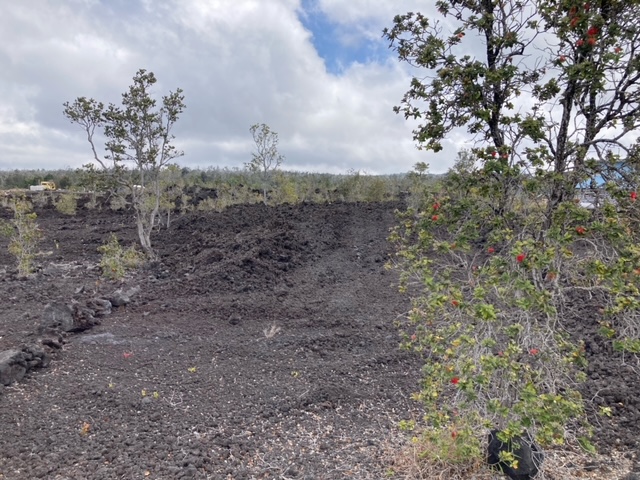 30 Coconut Drive Ocean View, HI 96737 - Photo 3 of 11 a view of a dry yard with trees and plants