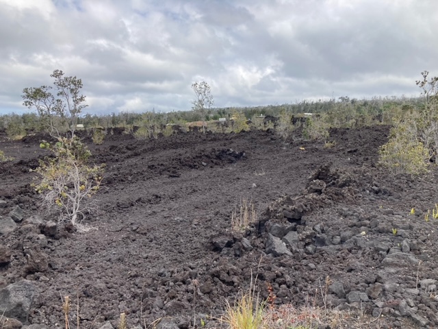 30 Coconut Drive Ocean View, HI 96737 - Photo 4 of 11 a view of a dry yard with green space