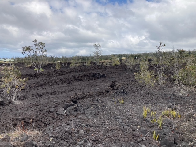 30 Coconut Drive Ocean View, HI 96737 - Photo 5 of 11 a view of a dry yard with trees