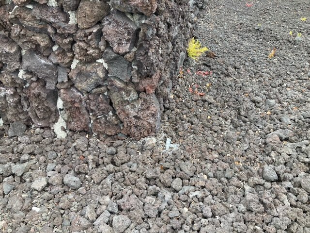 30 Coconut Drive Ocean View, HI 96737 - Photo 8 of 11 unknown