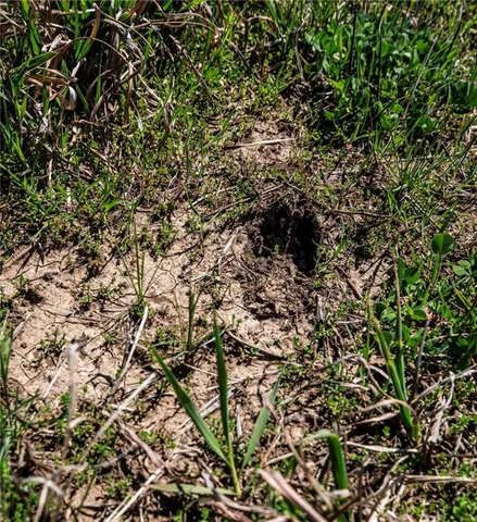 $300,000 | 841 69th Highway, Fort Scott, KS 66701