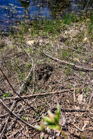 $300,000 | 841 69th Highway, Fort Scott, KS 66701