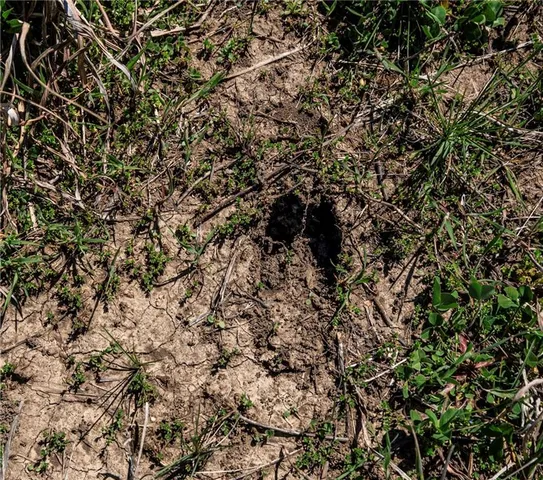 $300,000 | 841 69th Highway, Fort Scott, KS 66701