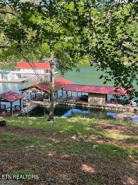 339 Flat Hollow Marina Road Speedwell, TN 37870 - Photo 2 of 47 IMG_6876