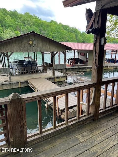 339 Flat Hollow Marina Road Speedwell, TN 37870 - Photo 34 of 47 IMG_6969