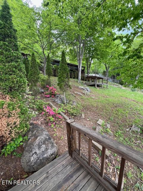 339 Flat Hollow Marina Road Speedwell, TN 37870 - Photo 37 of 47 IMG_6972