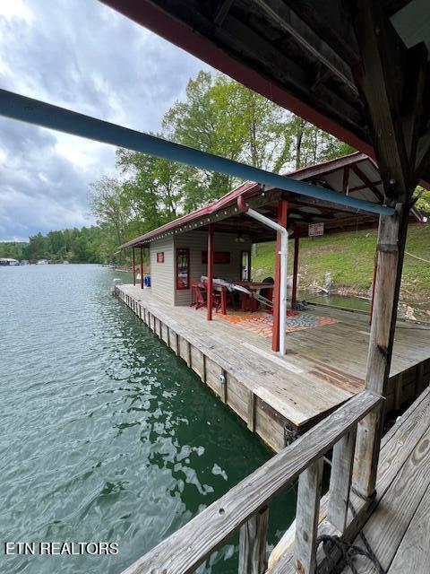 339 Flat Hollow Marina Road Speedwell, TN 37870 - Photo 44 of 47 IMG_6979