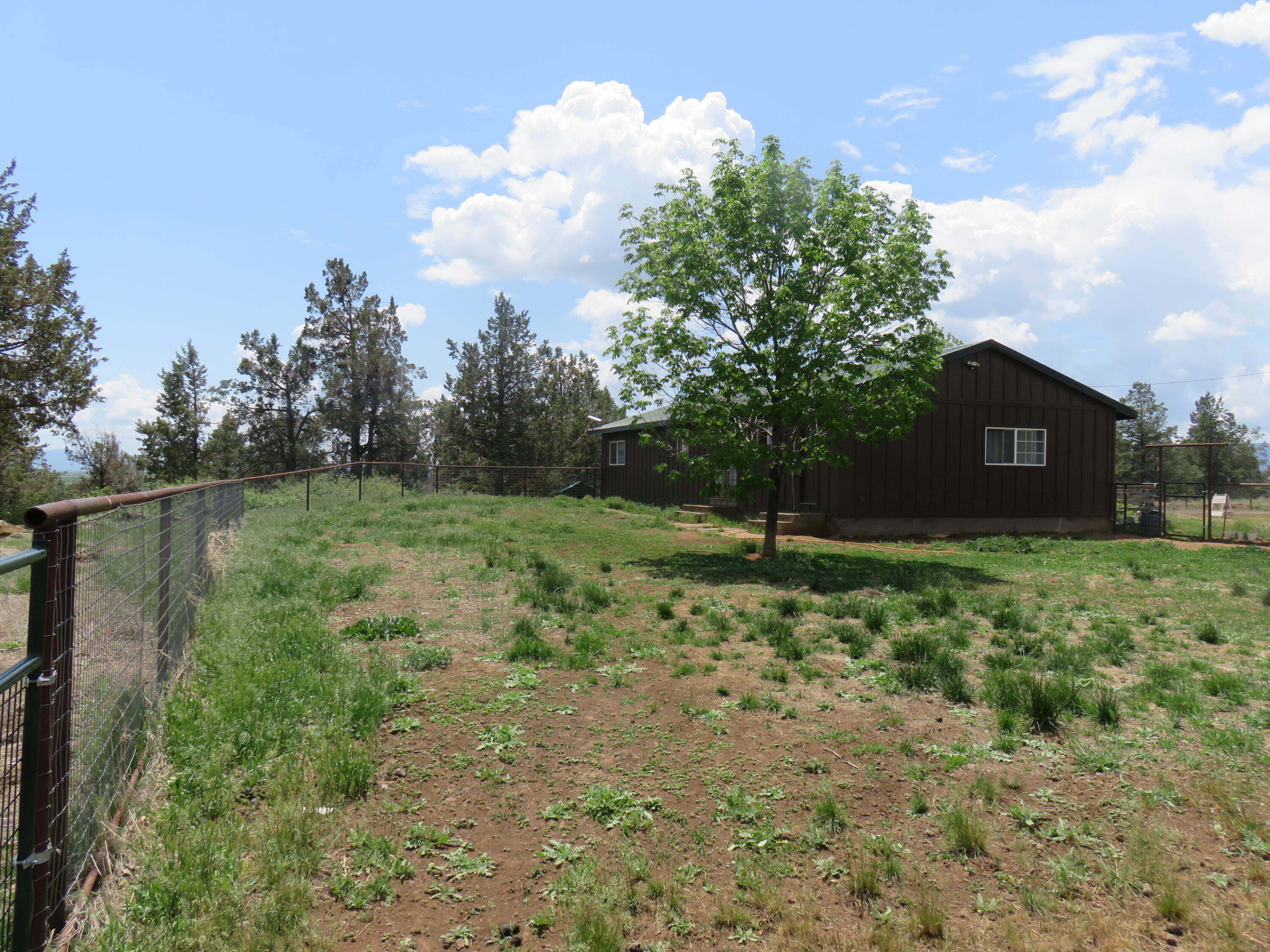 3798 County Road 91 Lookout, CA 96054 - Photo 28 of 54 a view of a house with a backyard
