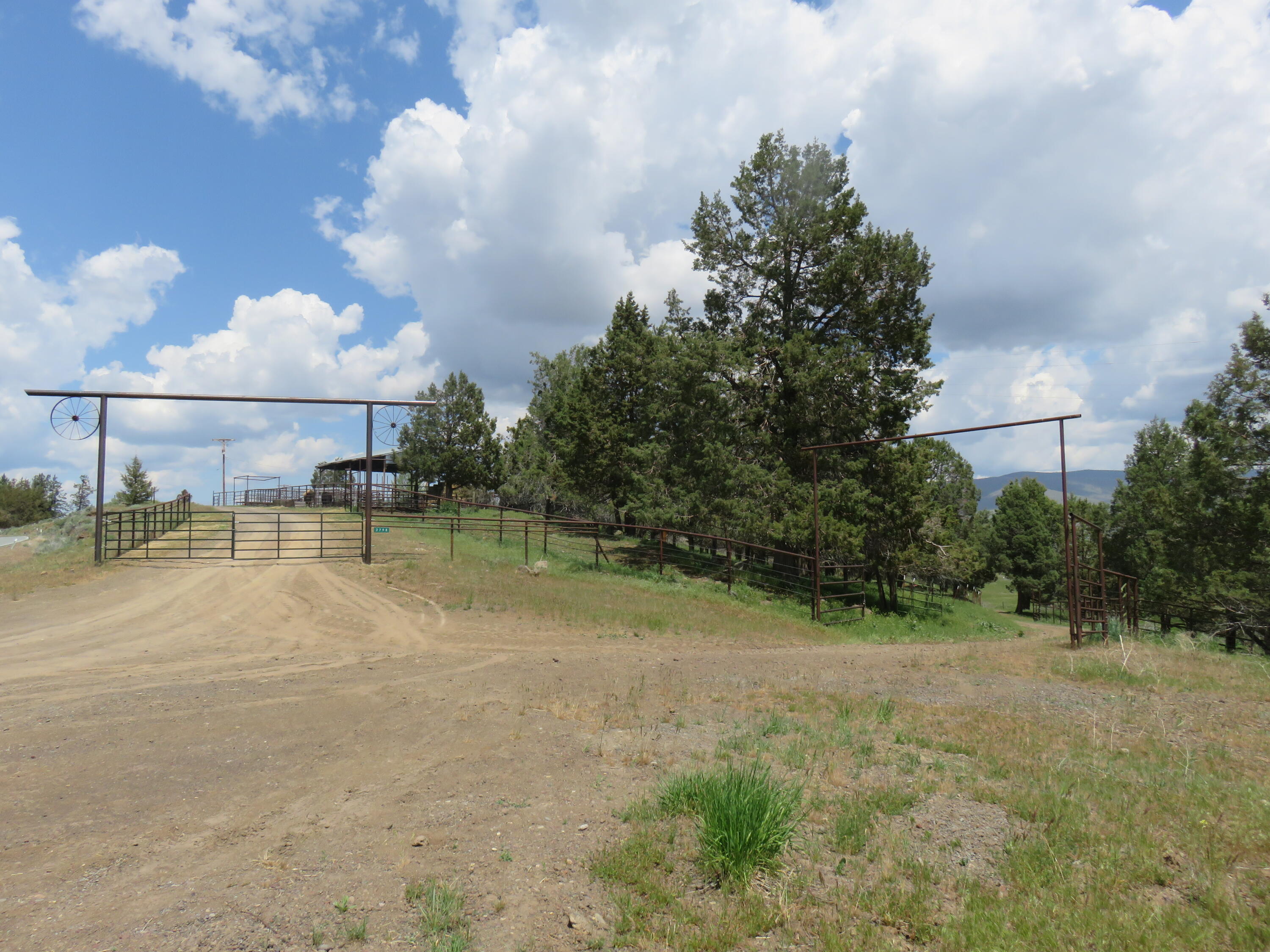 3798 County Road 91 Lookout, CA 96054 - Photo 40 of 54 a view of a backyard