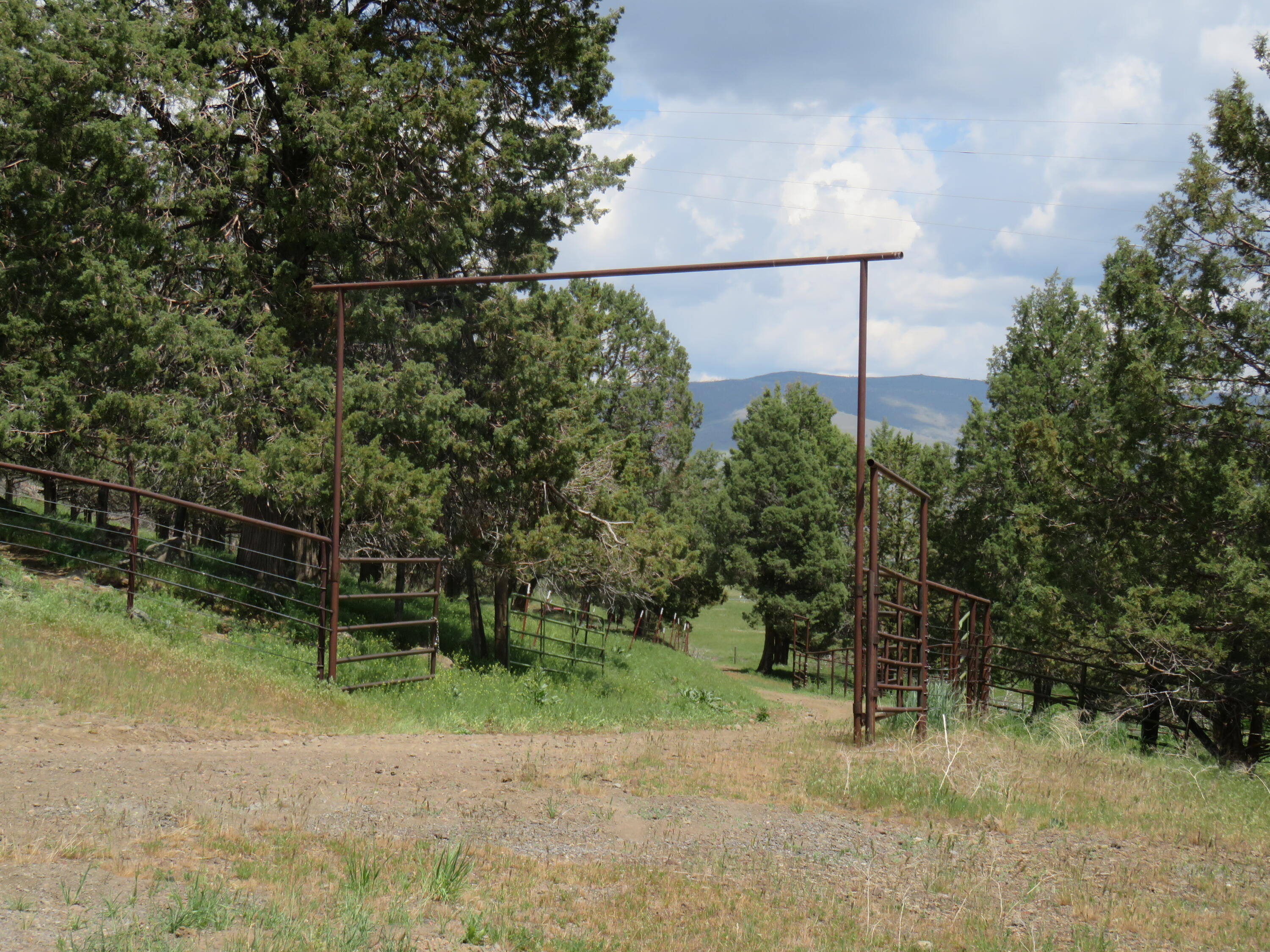 3798 County Road 91 Lookout, CA 96054 - Photo 42 of 54 a backyard of a house