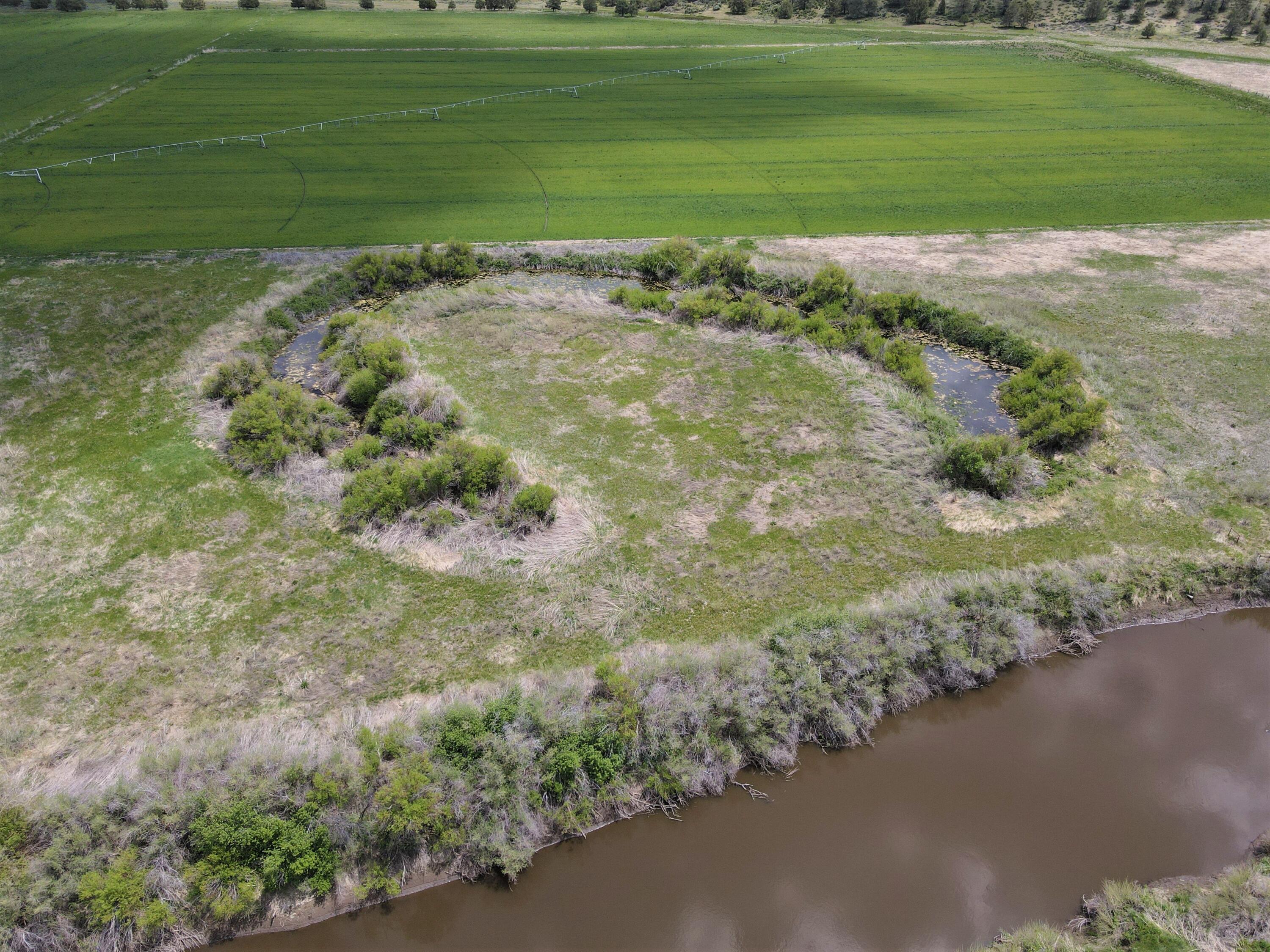 3798 County Road 91 Lookout, CA 96054 - Photo 43 of 54 a view of a field with a yard