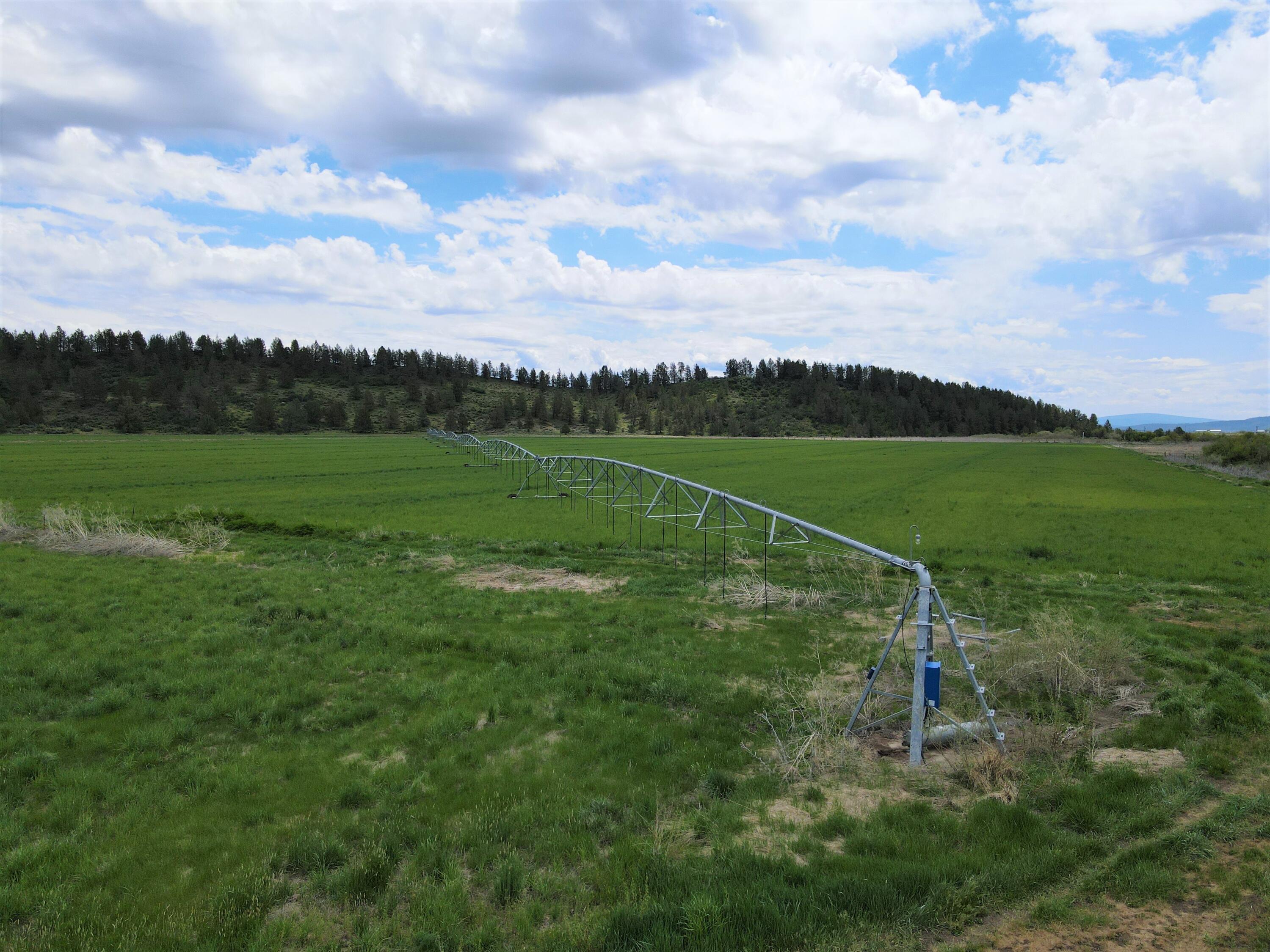 3798 County Road 91 Lookout, CA 96054 - Photo 48 of 54 a view of a field and a houses