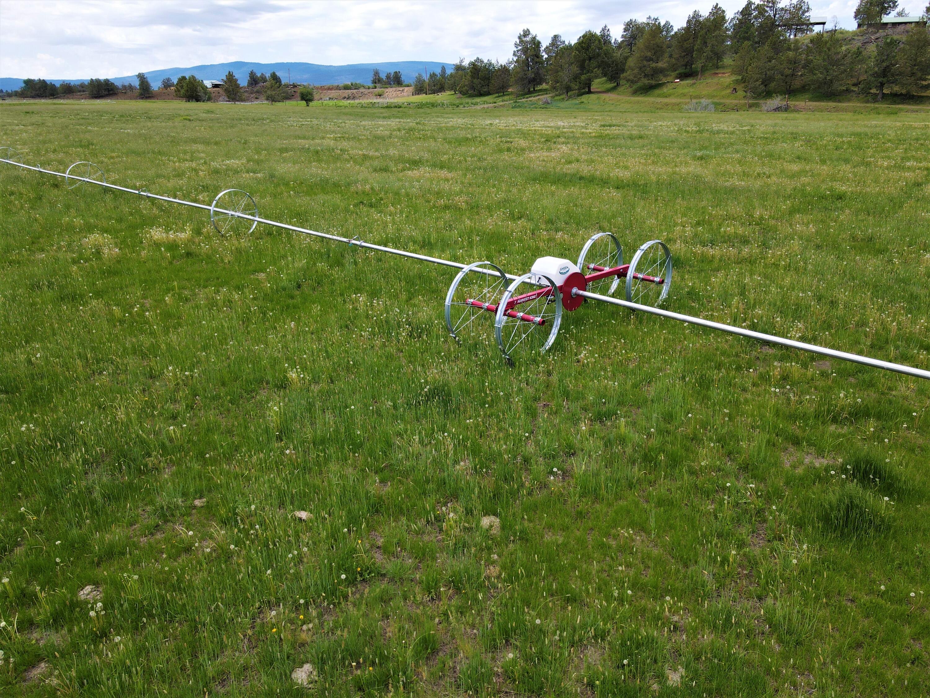 3798 County Road 91 Lookout, CA 96054 - Photo 49 of 54 a backyard with table & chairs
