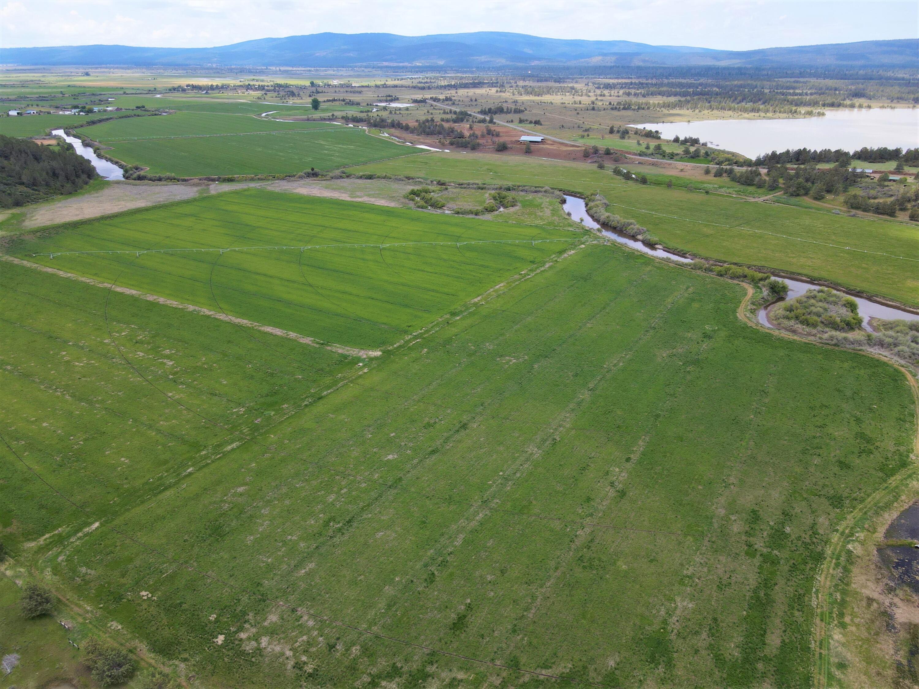 3798 County Road 91 Lookout, CA 96054 - Photo 7 of 54 a view of a city with lush green forest