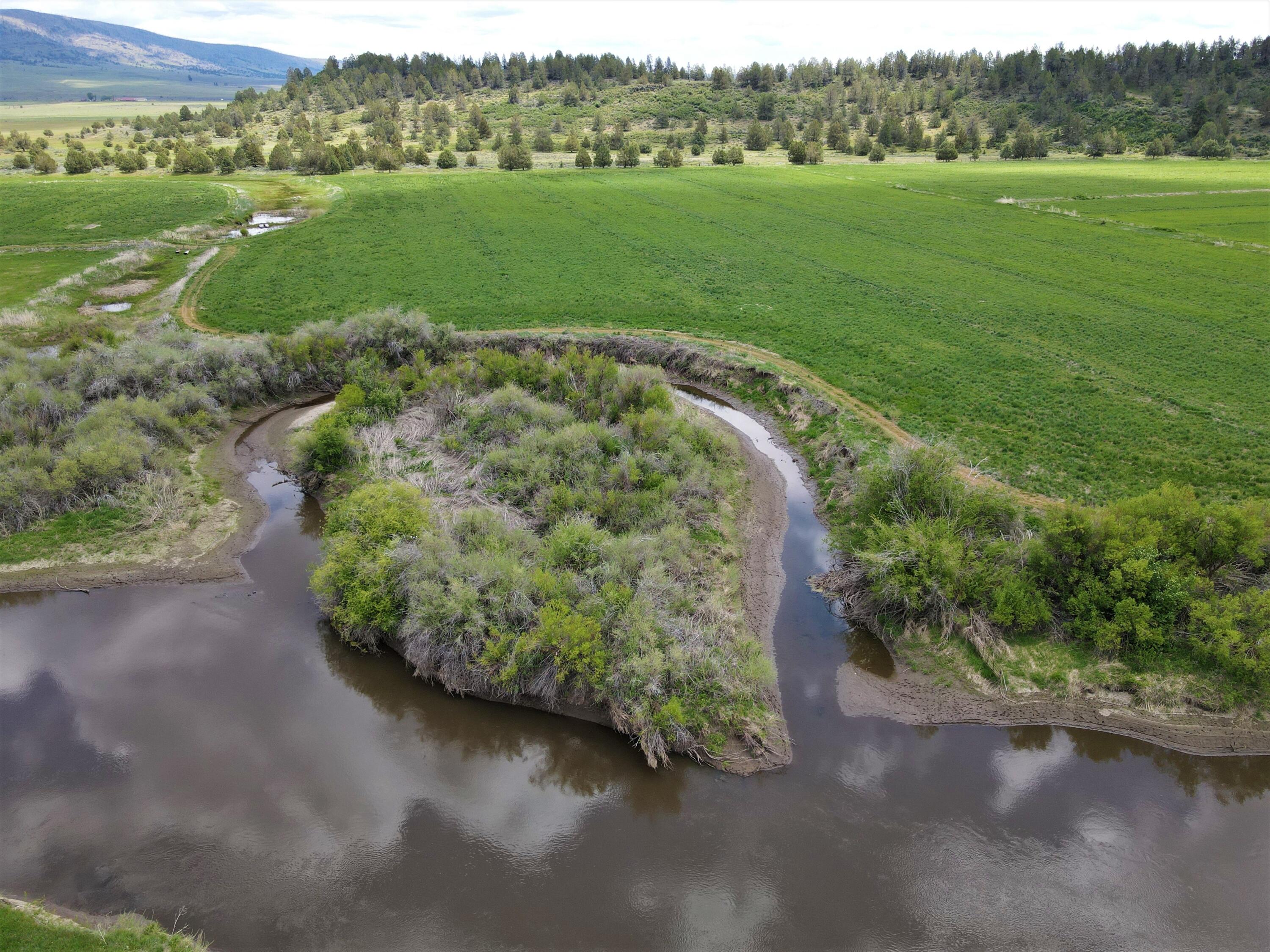 3798 County Road 91 Lookout, CA 96054 - Photo 8 of 54 a view of a lush green outdoor space with a lake view