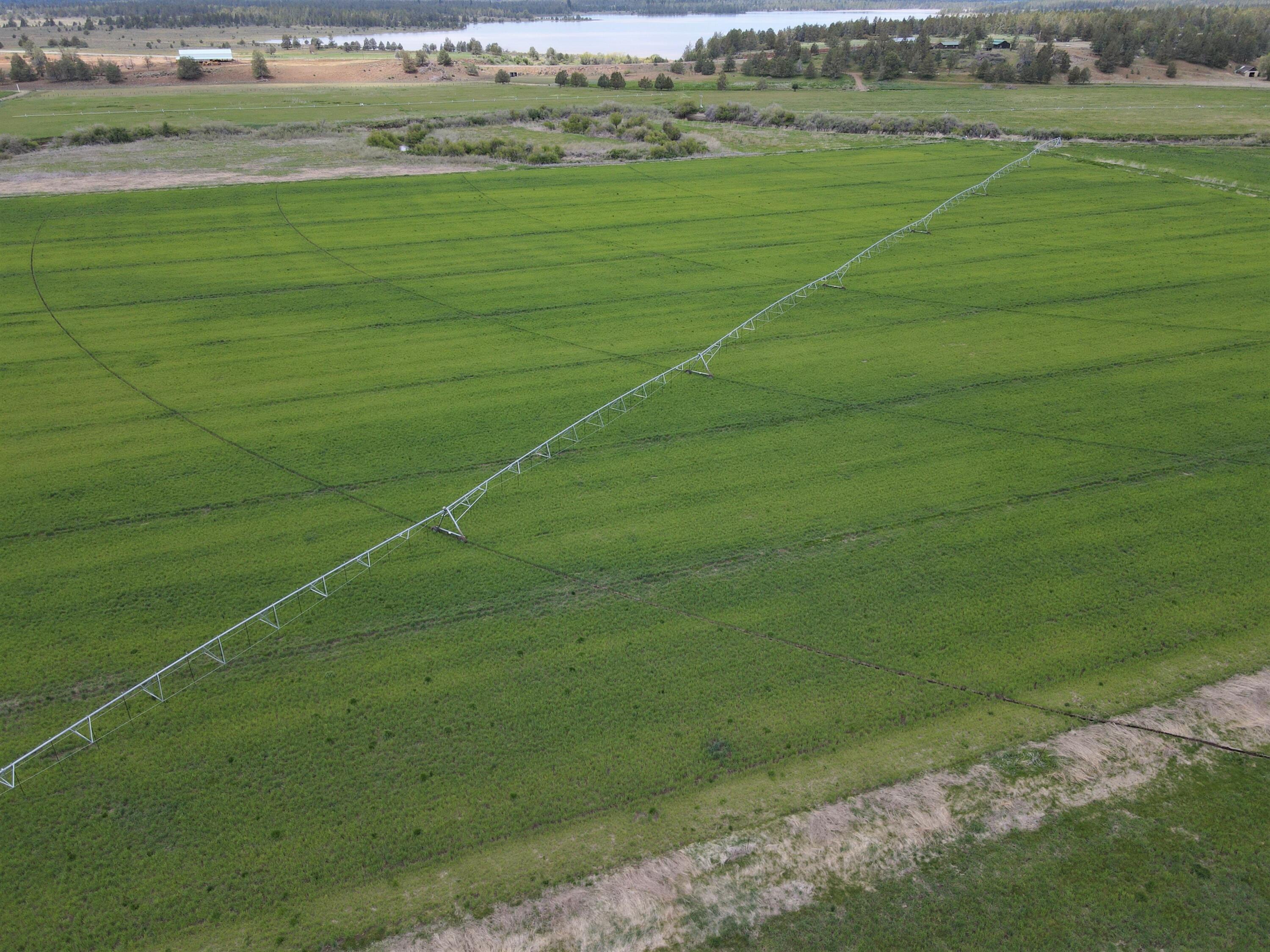 3798 County Road 91 Lookout, CA 96054 - Photo 10 of 54 a view of a field with an trees