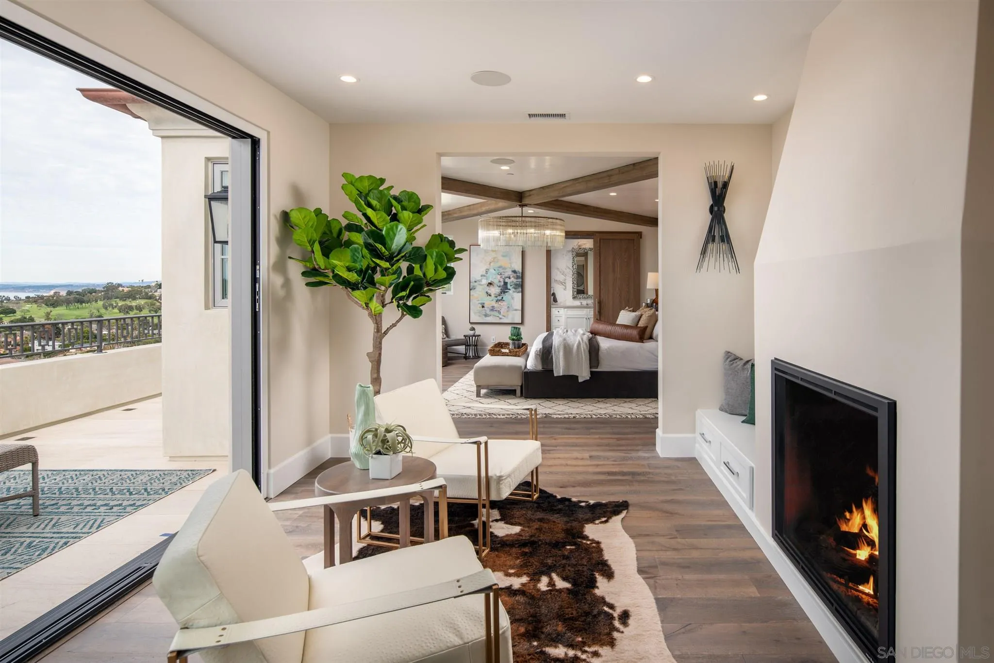 1206 Muirlands Drive La Jolla, CA 92037 - Photo 48 of 75 a living room with furniture a fireplace and a potted plant