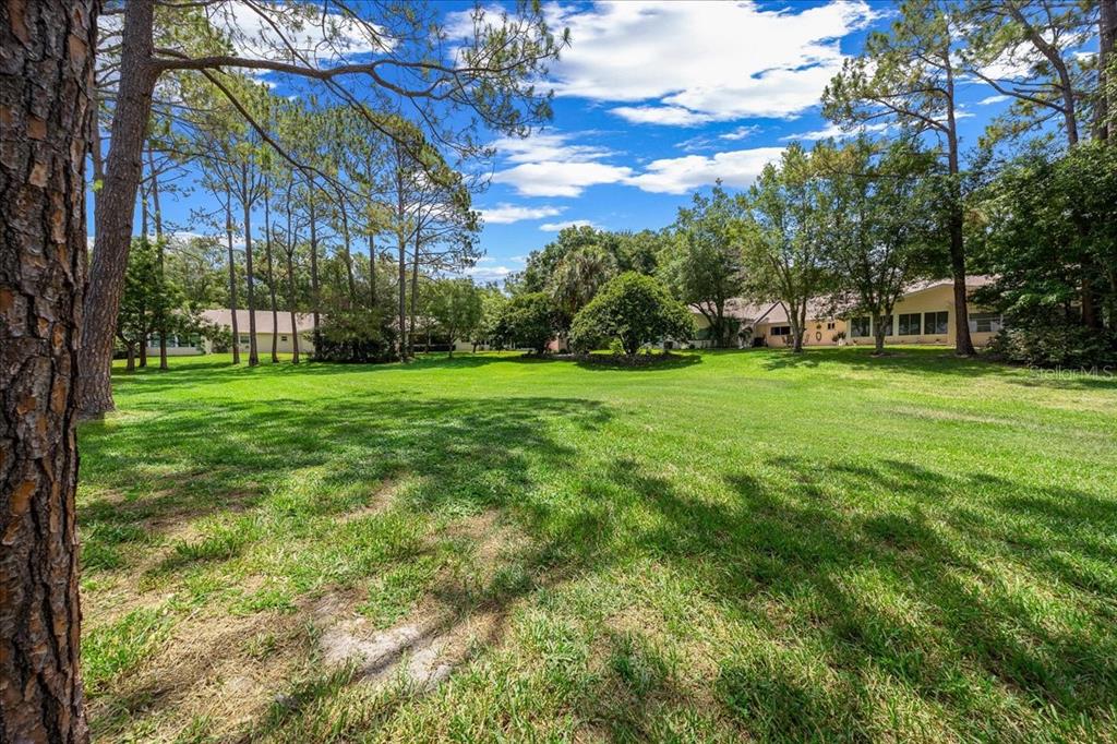8720 Southwest 90th Street, Unit A Ocala, FL 34481 - Photo 43 of 71 a view of a big yard with plants and large trees