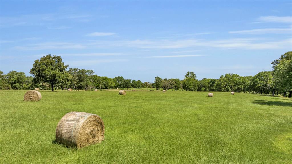 365 County Road 1534 Alba, TX 75410 - Photo 4 of 34