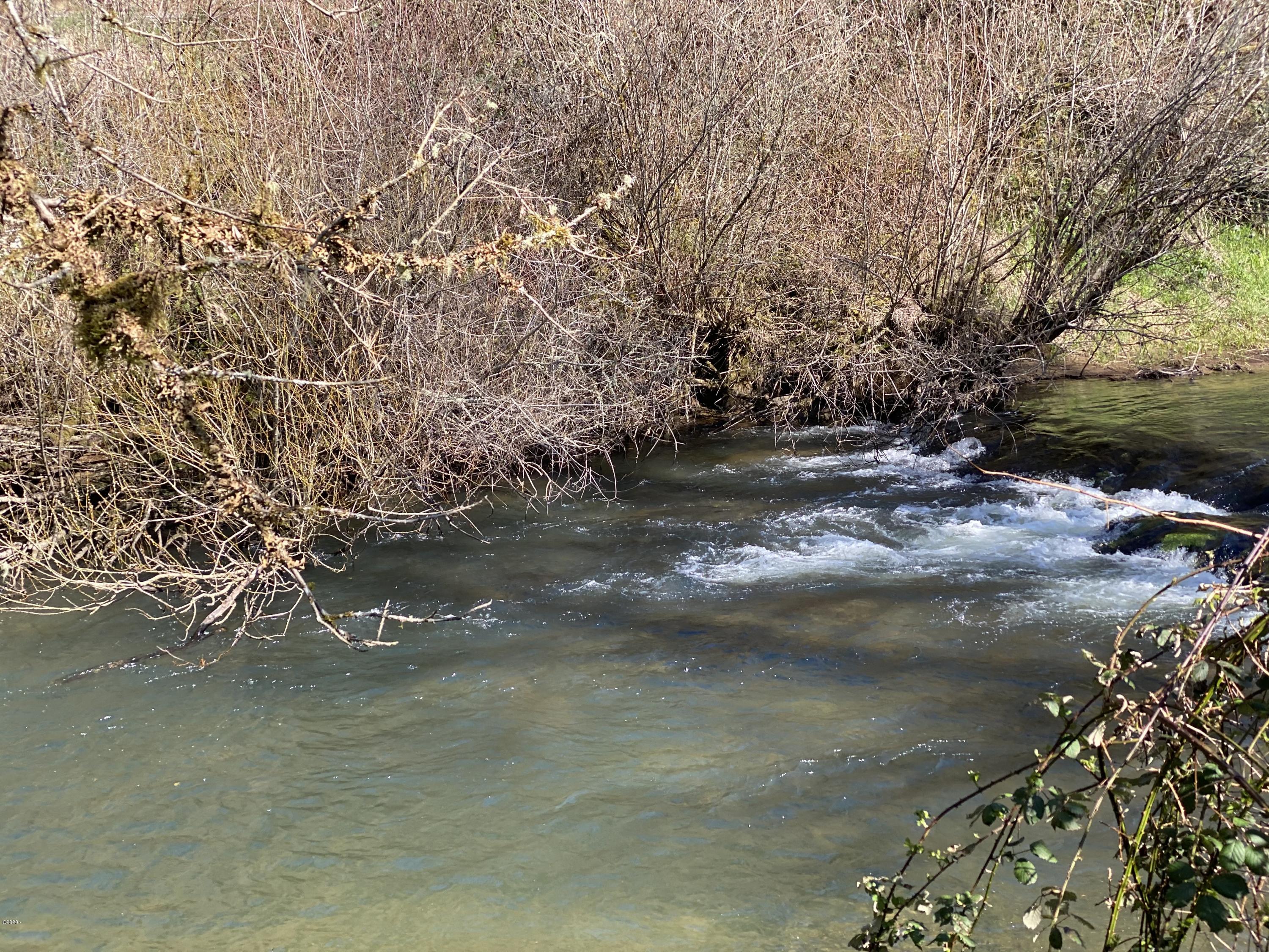 60 Chitwood Road Toledo, OR 97391 - Photo 4 of 6 Yaquina River