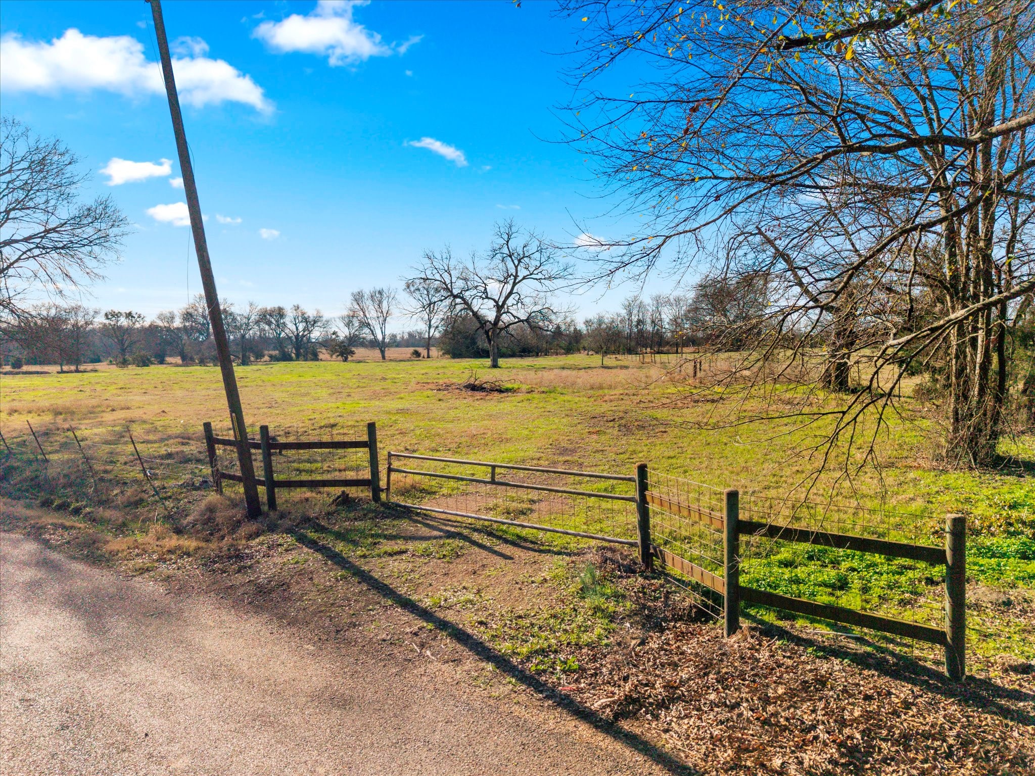 4315 County Road Omaha, TX 75571 - Photo 9 of 19