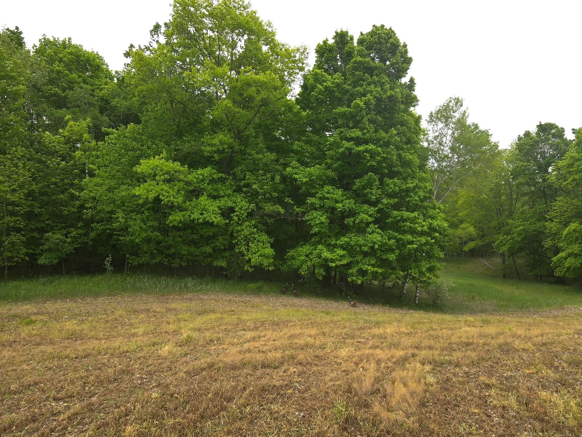 9155 Lee Lake Road Pound, WI 54161 - Photo 21 of 32