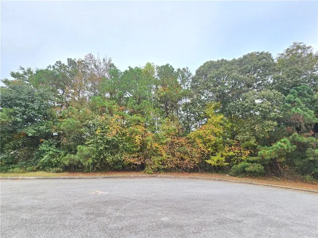 a view of a field with plants and trees in the background