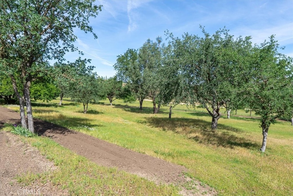 5685 Mustard Creek Road Paso Robles, CA 93446 - Photo 47 of 57