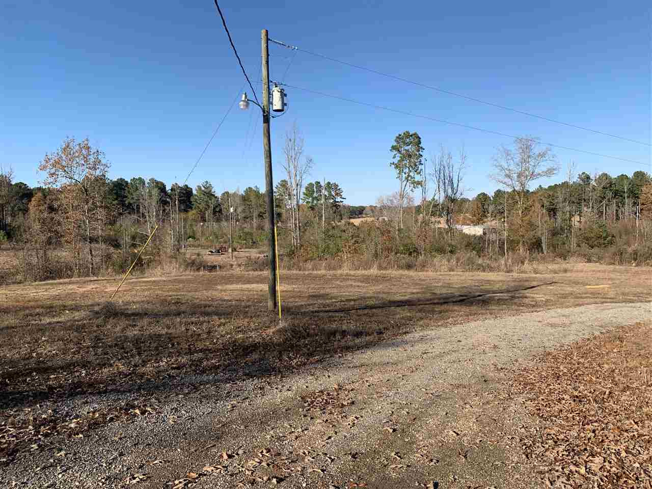 355 Mill Road Lena, MS 39094 - Photo 5 of 18 Photo 5