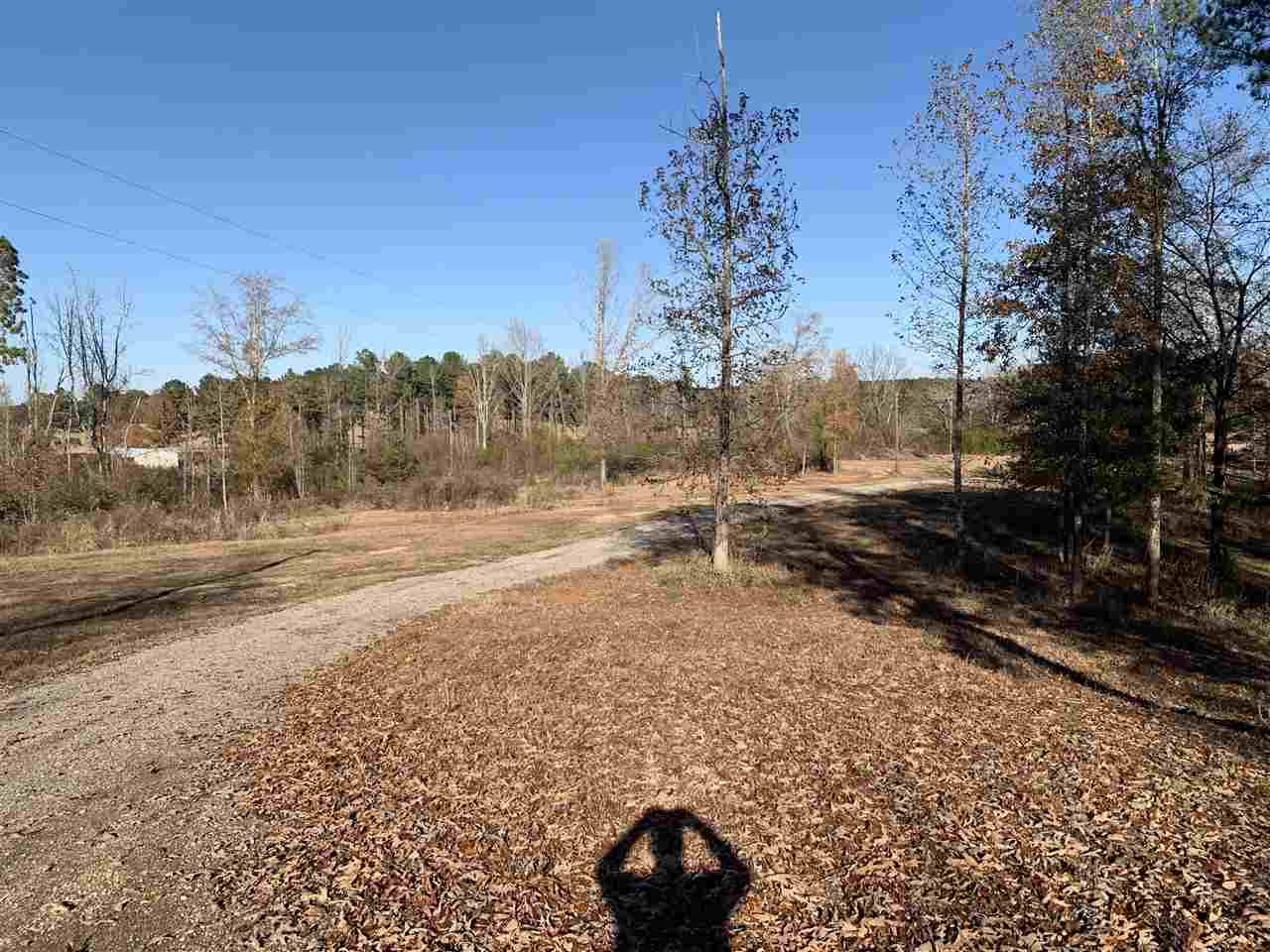 355 Mill Road Lena, MS 39094 - Photo 6 of 18 Photo 6