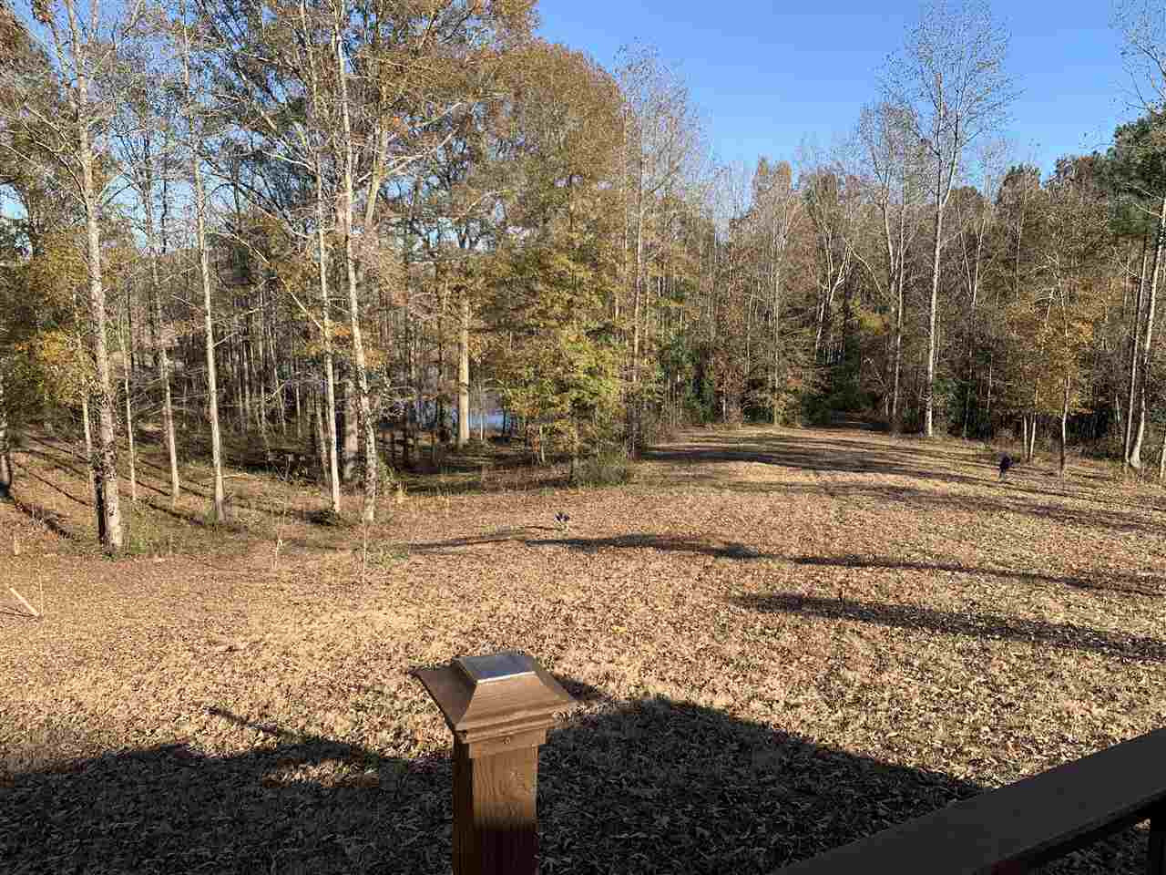 355 Mill Road Lena, MS 39094 - Photo 7 of 18 Photo 7