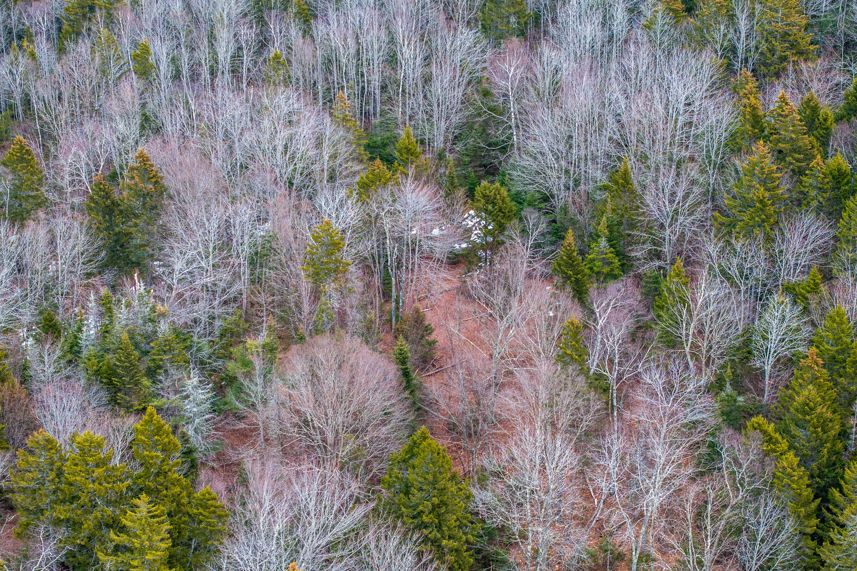 237 Knights Pond Road Northport, ME 04849 - Photo 25 of 29 DJI_20260402170207_0462_D