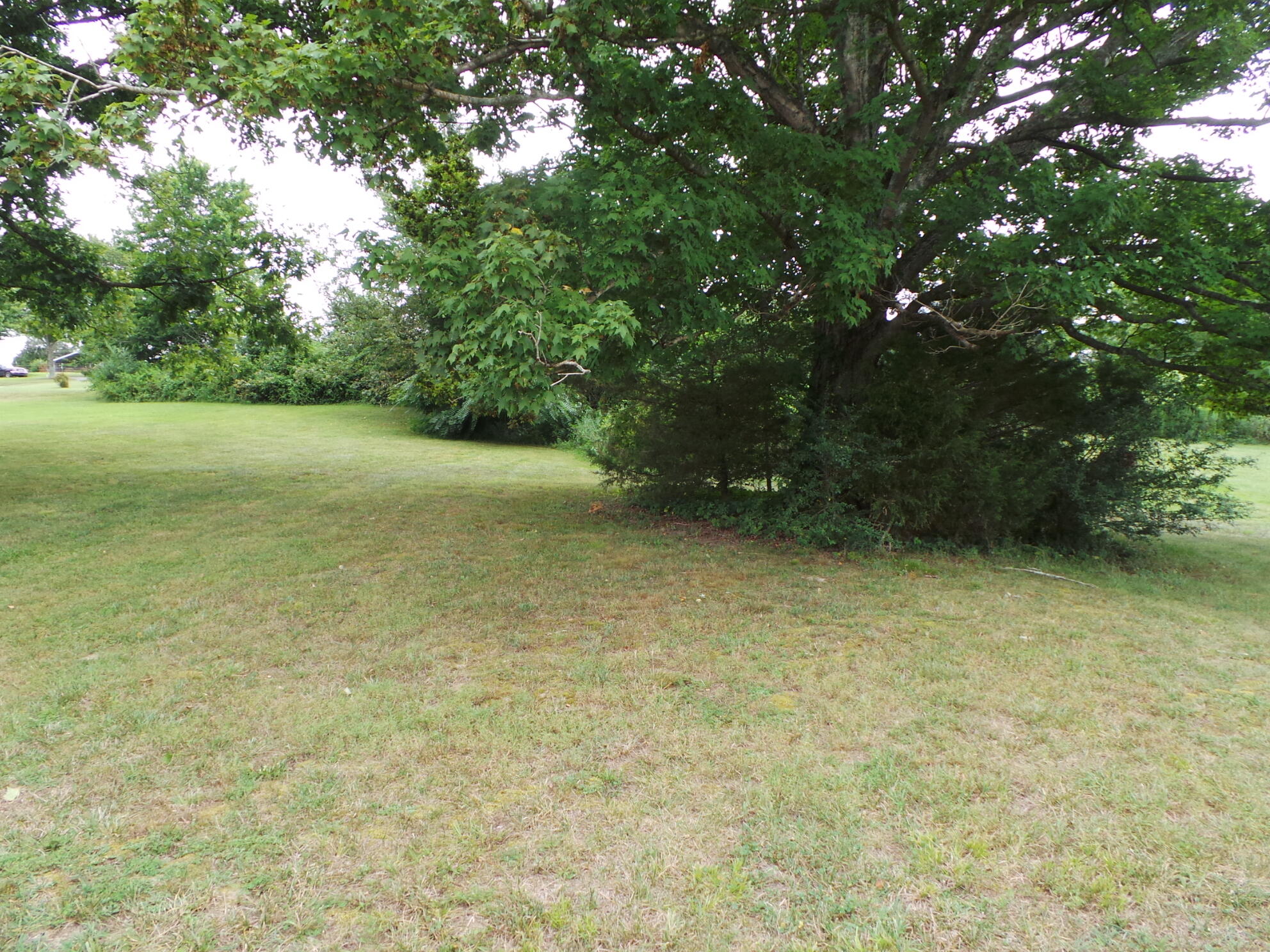 210 Barren Road, Unit 46 Chuckey, TN 37641 - Photo 23 of 49 23