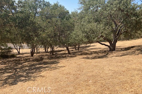 2177 Ridge Rider Road Bradley, CA 93426 - Photo 1 of 1 Gallery Image 1