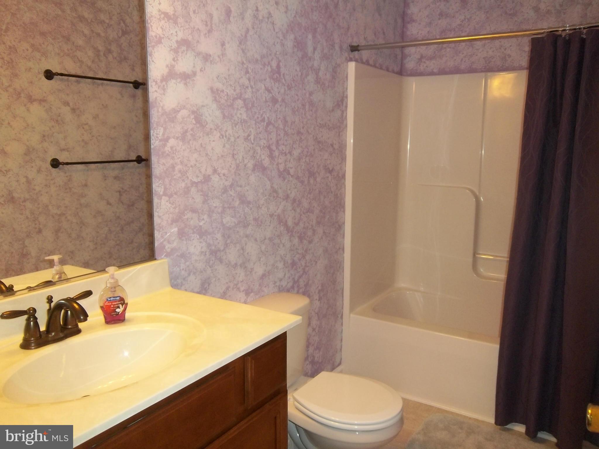 276 Harrington Road Rising Sun, MD 21911 - Photo 11 of 14 Hall Bath