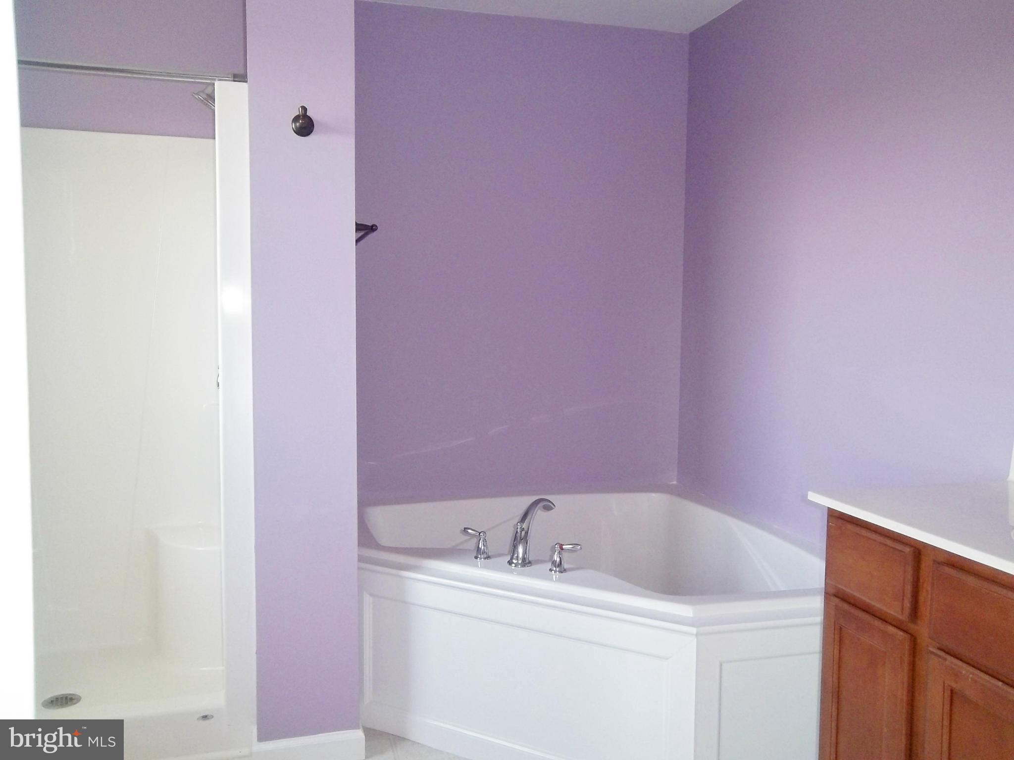 276 Harrington Road Rising Sun, MD 21911 - Photo 13 of 14 Bath (Master)
