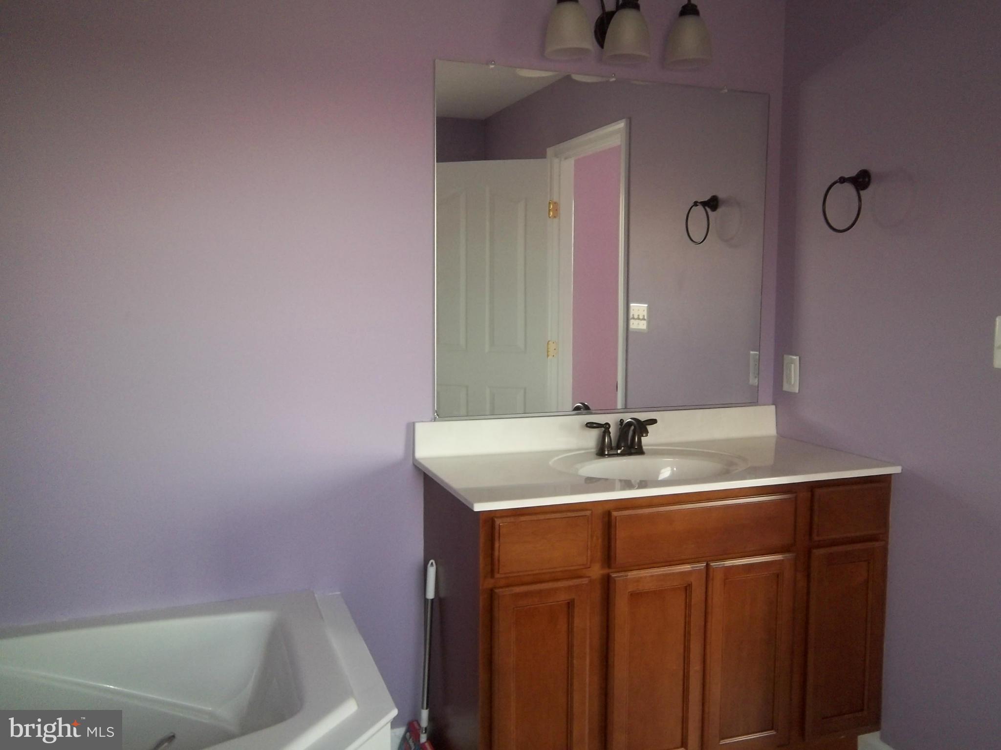 276 Harrington Road Rising Sun, MD 21911 - Photo 14 of 14 Bath (Master)
